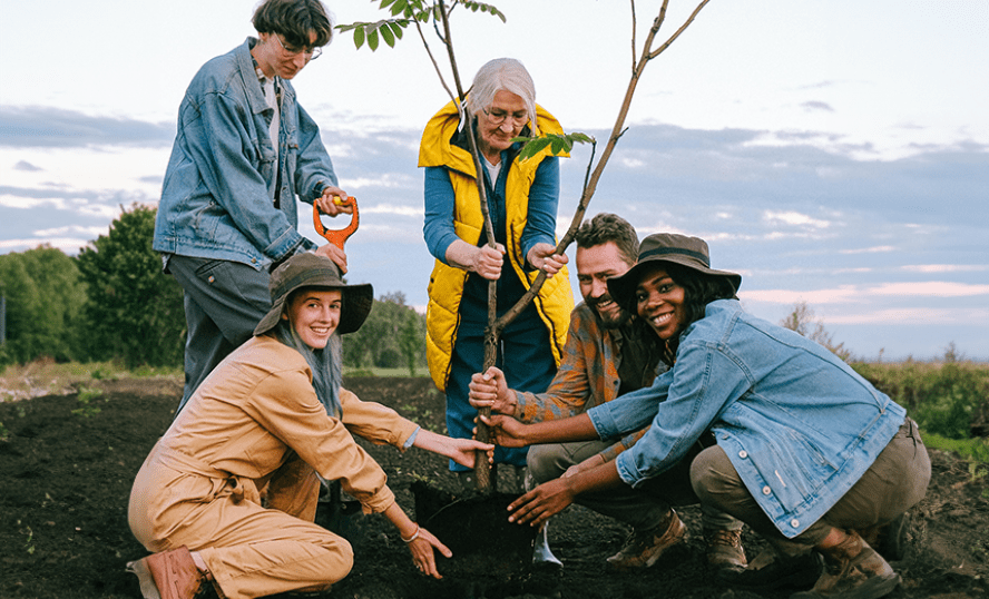 En grupp som planterar ett träd.